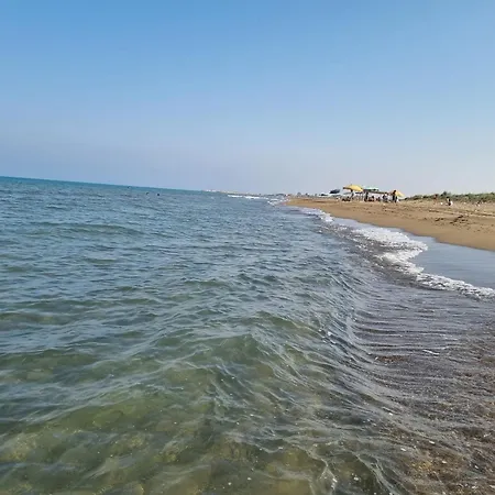 Mersin *